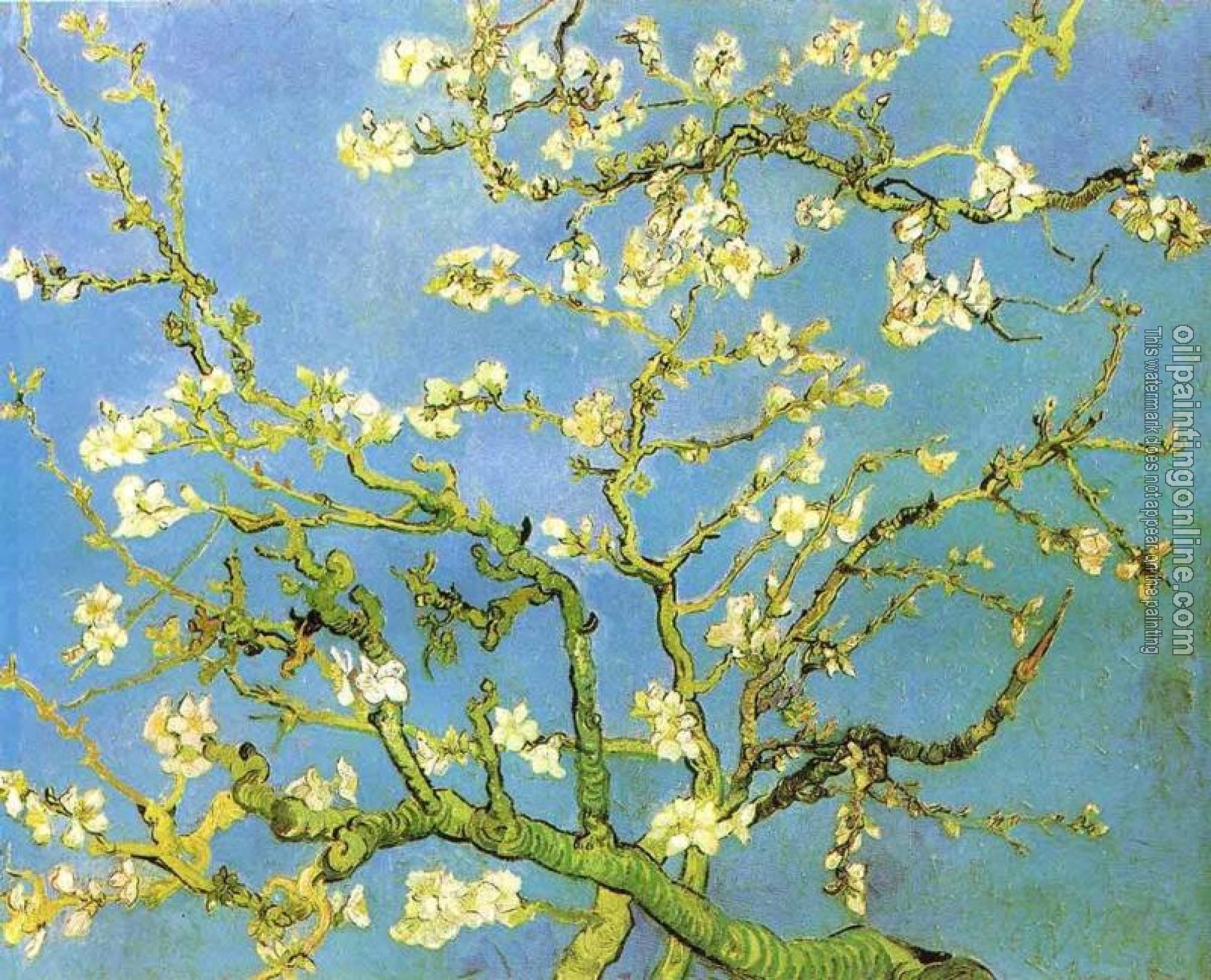 Gogh, Vincent van - Blossomong Almond Tree